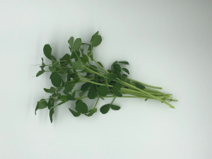 Pea shoots
