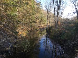 Beatty Brook